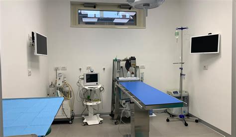 cannata veterinario